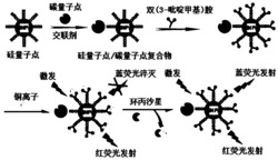 一种基于纳米复合物的环丙沙星比率荧光探针的制备方法