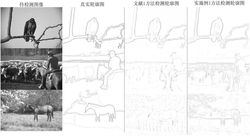 基于可变感受野尺度全局调制的轮廓检测方法