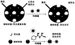 一种基于铜纳米簇/荧光素复合物的吗啉胍比率荧光探针