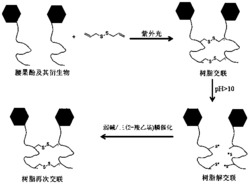 一种可控且可逆交联腰果酚树脂及其制备方法