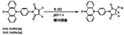 一种吖啶酮类稳定同位素巯基化合物标记试剂及其合成方法与应用