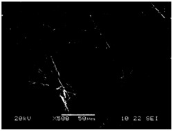 一种层状双金属氢氧化物LDH-Br2-CO32-晶须及其制备方法和应用