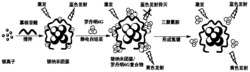 基于银纳米簇复合物的三聚氰胺比率荧光探针的制备方法