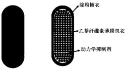 一种隔离型水合物动力学抑制胶囊及其制备方法与应用