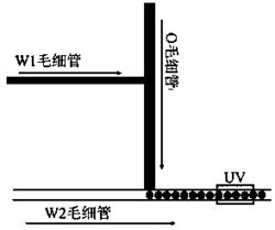 一种对水合物响应的动力学抑制油水乳液及其制备方法和应用