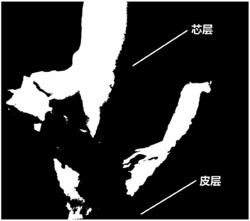 一种功能化皮芯结构的3D打印线材的制备方法