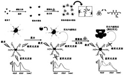 基于双发射量子点/银纳米粒复合物的霜脲氰比率荧光探针的制备方法