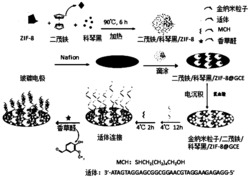 基于纳米复合物修饰电极的香草醛比率电化学适体传感器的制备方法