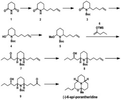 一种天然产物异构体(-)-6-epi-Porantheridine的新合成方法