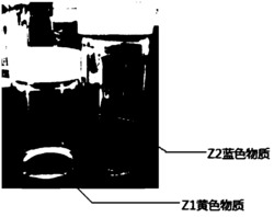 一株铜绿假单胞菌及其应用