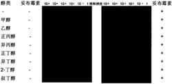 乙醇作为增敏剂提高氨基糖苷类抗生素杀菌效率的方法