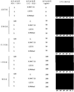 低离子休克提高氨基糖苷类抗生素杀灭持留菌效率的方法