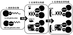 一种可同时用作比率荧光和比率电化学传感的纳米杂化物的制备方法