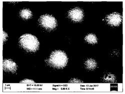 一种生物碱类化合物用硅胶液相色谱填料及其制备方法