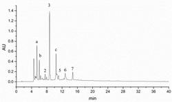 一种提高苹果汁多酚生物利用度的方法