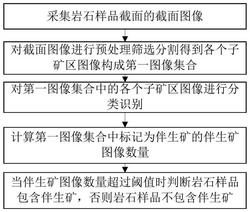 一种岩石样品中伴生矿物识别方法及系统