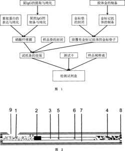 鸡新城疫抗体免疫胶体金快速检测试剂盒及应用