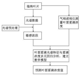 一种快速检测作物叶面雾滴浓度的方法