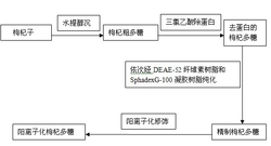 阳离子化枸杞多糖纳米粒基因传递系统及其制法