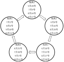 一种苎麻纤维不间断收获的方法