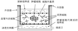 一种仿真三维细胞培养器及培养方法