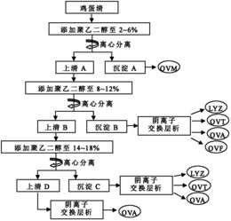 从鸡蛋清中联合提取多种蛋白质的方法