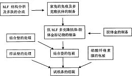 一种牛奶中人乳铁蛋白筛查试纸条及制备方法