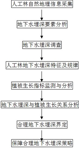 一种人工林地下水合理埋深估算方法