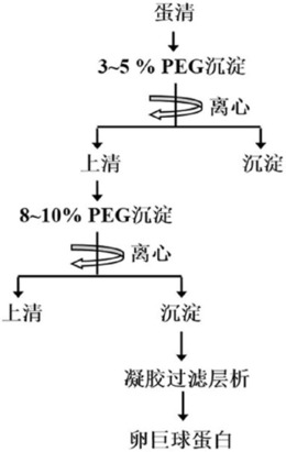 从鸡蛋清中提取卵巨球蛋白的方法