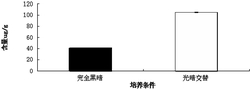 一种富含萝卜硫素的西兰花芽菜粉及生产方法