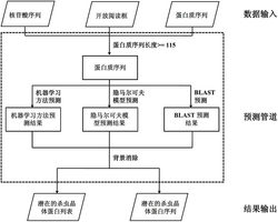 杀线虫晶体蛋白基因cry003-131及应用