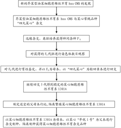 菜心细胞质雄性不育系的选育、繁殖和制种方法