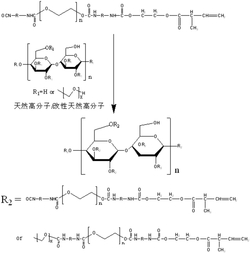 一种天然高分子基光固化树脂的制备方法