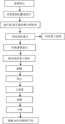 利用超声波-离子液体耦合制备蚕蛹源ACE抑制肽的方法