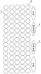 一种用于珠心算学习训练的多功能电子算盘