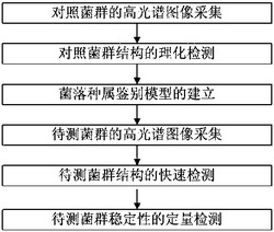 食品批量发酵过程中菌群结构稳定性的定量检测方法