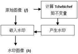 基于Tchebichef矩仿射不变量的图像水印方法