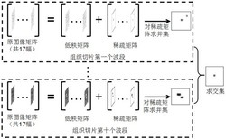 一种细胞有丝分裂检测方法