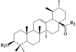 乌苏酸化学修饰物及其制备方法和应用