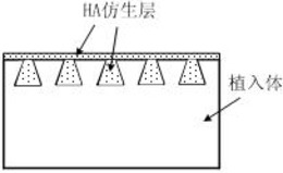 提高医用镁合金表面医用生物涂层结合强度的方法