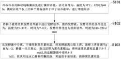 一种棒状链霉菌及在生产黑色素中的应用方法