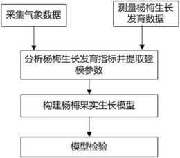 一种基于温光的设施杨梅果实生长模拟方法