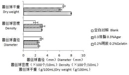 改良的杏鲍菇液体发酵培养基以及利用其培养杏鲍菇液体菌种的方法