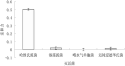 寡核苷酸序列及其制备方法与应用