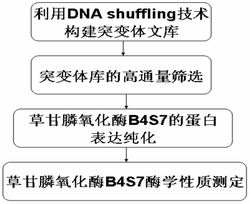 一种降解除草剂草甘膦的抗性基因及其编码蛋白