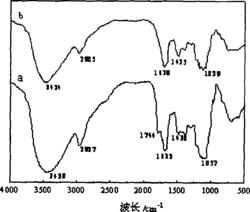 一种草酸改性柚子皮生物吸附剂的制备方法