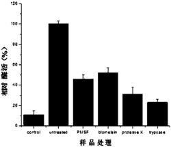 一种脂肪酶的原核表达及应用和固定化方法