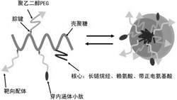 一种仿生siRNA胶束纳米复合物及应用