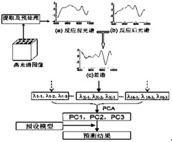 一种可视化阵列传感器的信号表征方法