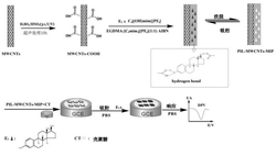 用于检测17β-雌二醇的多壁碳纳米管的表面分子印迹聚离子液体及其制备方法和应用